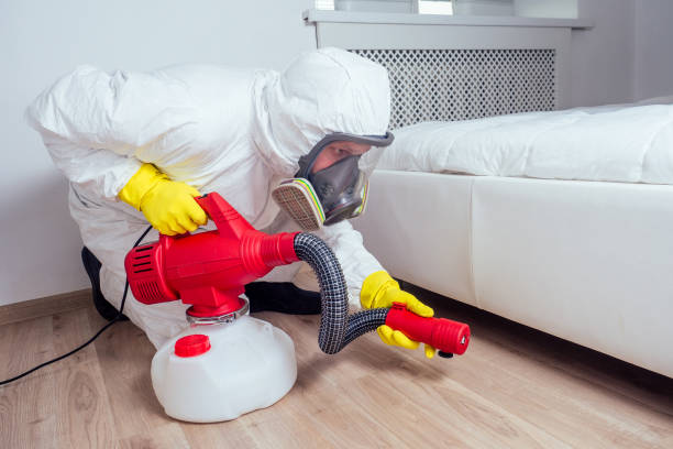 Reliable Chester, MD Pest Control Solutions