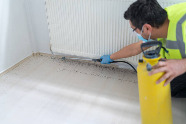 Best Commercial Pest Control Services  in Chester, MD