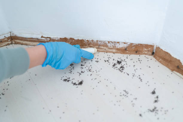 Pest Control for Restaurants in Chester, MD
