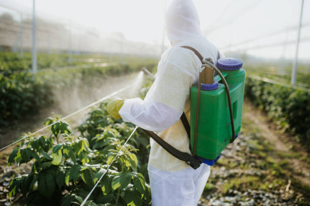 Best Affordable Pest Control Services  in Chester, MD